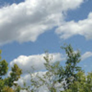 Meet your Posher, Virginia